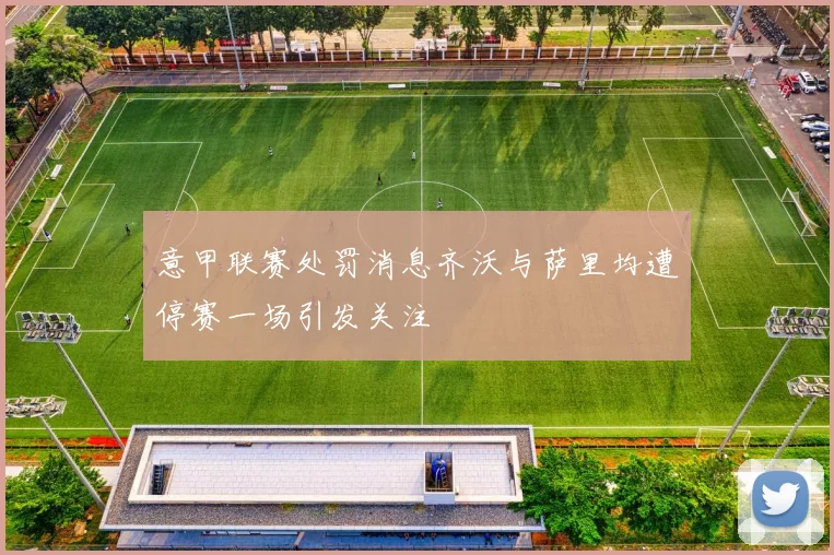 意甲联赛处罚消息齐沃与萨里均遭停赛一场引发关注