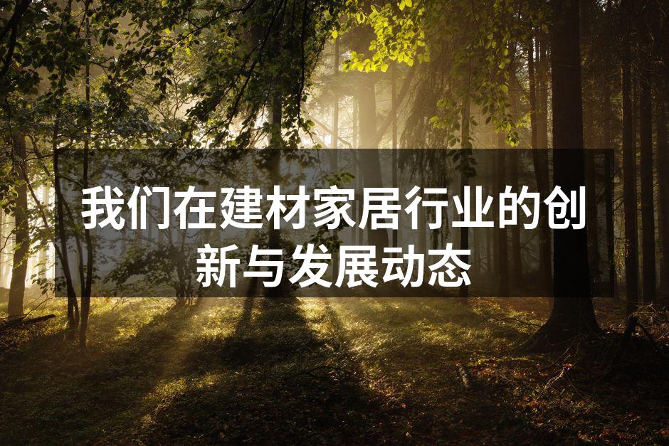 我们在建材家居行业的创新与发展动态